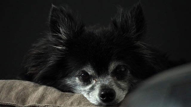 网赚资源大集合：新手网赚论坛带你领略最新赚钱项目