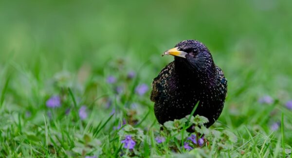 一公斤网赚论坛：探索网赚交流与创业好项目的宝藏之地