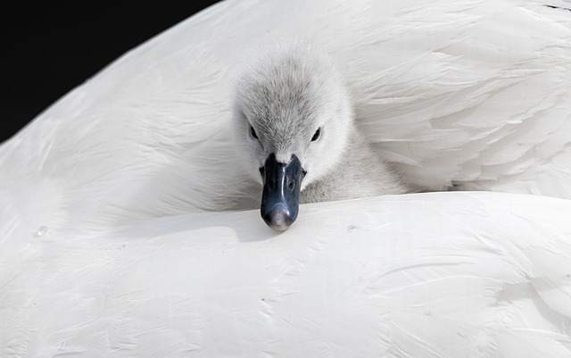 创业网致富网是真的吗？深度剖析网赚暴利群的真相