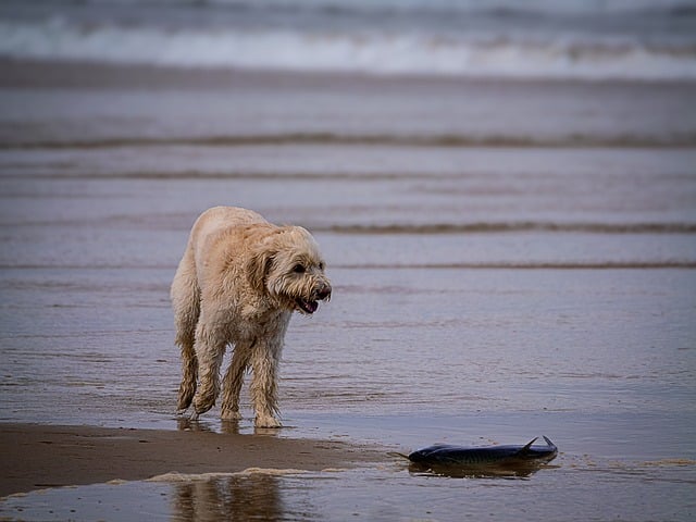 福缘网创业：开启网赚新篇章，福缘网创业指南助你腾飞