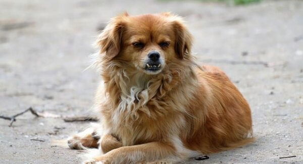 中赚网论坛分享：SEO技巧与网赚项目经验交流