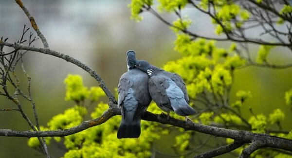 最新网赚项目揭秘：如何在网赚网站中实现轻松赚钱？