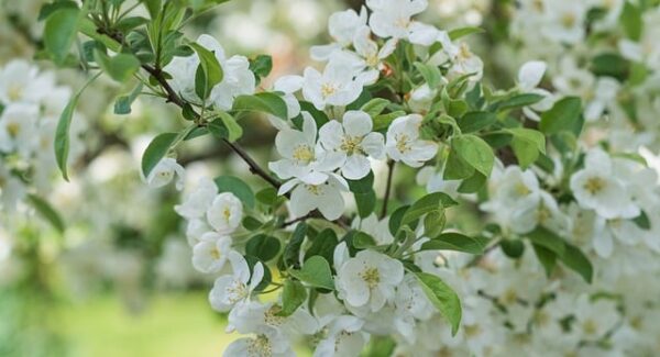 番号库官网揭秘：百度快速排名前三的独家技巧