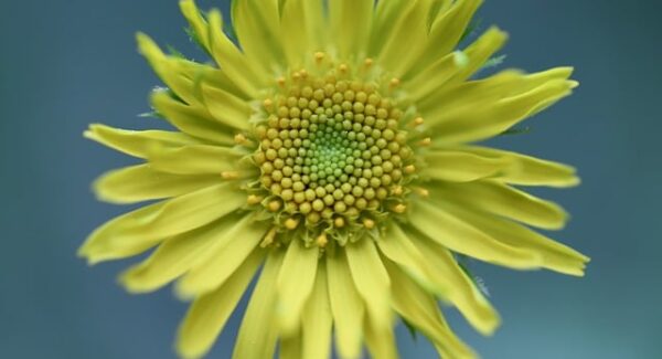 百度快速排名优化：掌握这些技巧，让你的网站快速上升