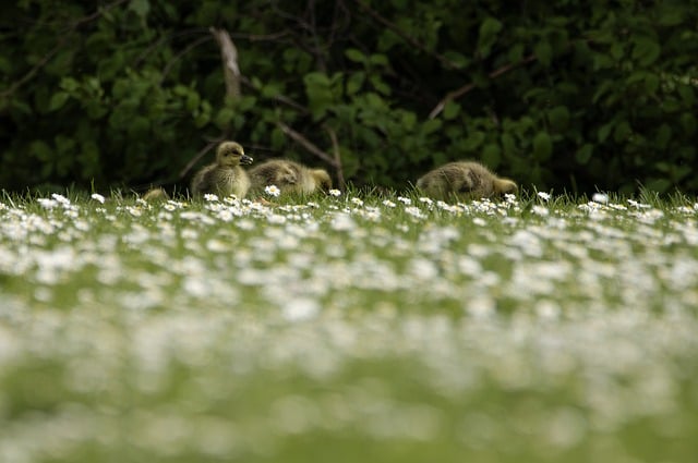 免费网上赚钱项目解析：SEO优化课程助力网赚学习之路
