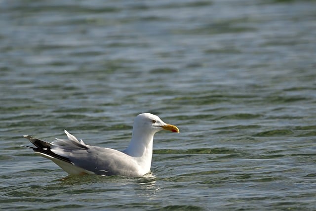 怎么网上创业：创业网大全带你轻松创业