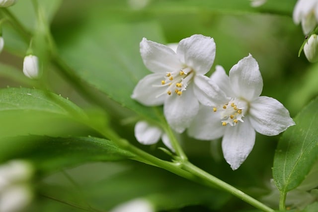 福缘网赚：深度解析网上赚钱论坛与免费网赚项目的宝藏库