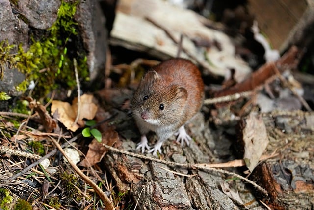 互联网创业论坛圆桌：创业者如何利用SEO和内容营销取得成功