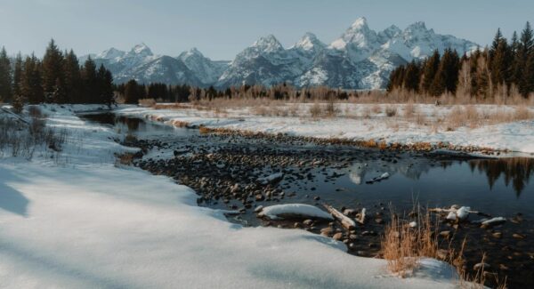 网赚培训全攻略：打造个人网赚项目的必备技能