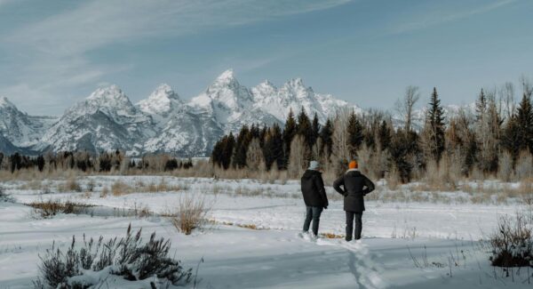 最新网赚趋势：探索2023年的网站赚钱机会
