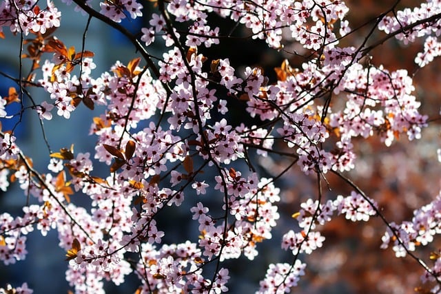 中创网赚论坛讨论：网赚好项目的评估与选择