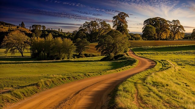 金色旋风网赚论坛指南：SEO赚钱培训与百度关键词价格的奥秘