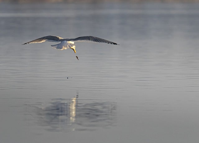 千梦网创实战教程：教你如何快速获取百度排名