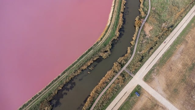 赚钱网盘与关键词排优化：网赚项目推广策略解析