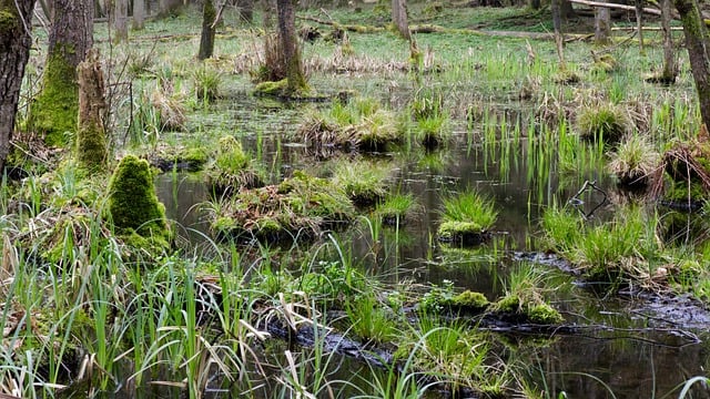 暮沉资源站独家分享：副业项目网让你轻松开启第二职业