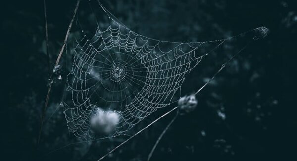 网上挣钱正规渠道推荐：让你远离骗局，轻松赚钱