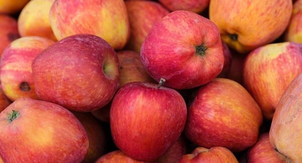 文案网站推荐与优化技巧：如何写出吸引搜索引擎的优质文案，提升网站排名