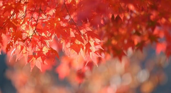 揭秘网赚团购新策略：如何利用说钱网与网赚项目打造月入过万的创业之路