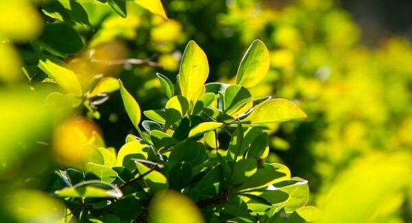 暮沉资源站独家分享：福缘创业网实战指南，创业路上的经验与教训