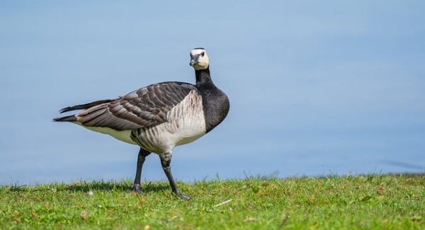 【免费赚钱】热门免费赚钱项目推荐，无本创业也能轻松赚钱！