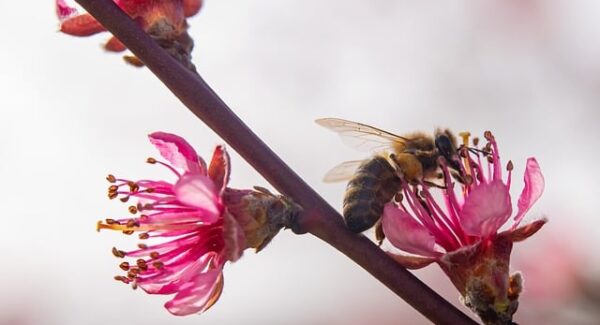 手机兼职新选择：一单一结50元，轻松实现财富增长