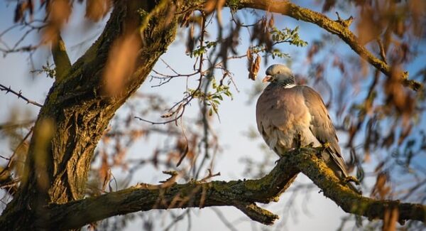 【网赚学习之路】掌握网赚学习技巧，开启网上免费赚钱项目新篇章！