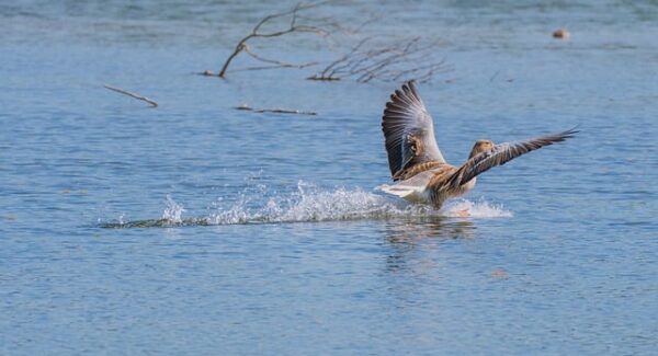 【创业商机】创业商机网推荐：热门创业项目，让你抓住商机！
