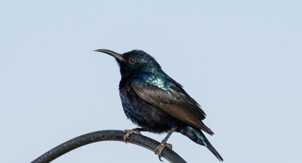 【创业新视角】网上创业全新视角，深度解析创业网大全！