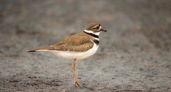 【热门创业项目】创业商机网推荐，抓住商机实现创业梦想！