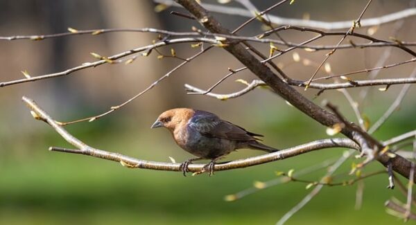 【网站优化全攻略】SEO培训课程，助力你的网站优化之路！