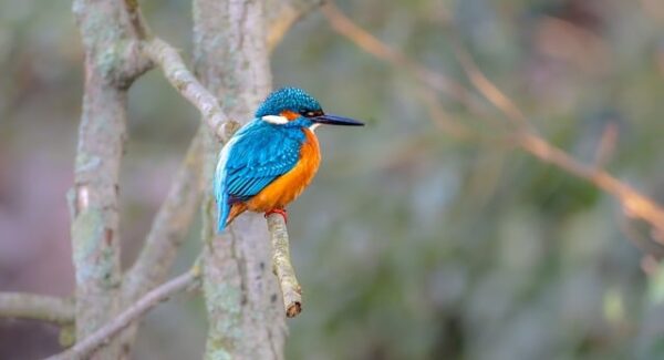 【龙岩SEO专家分享】龙岩SEO专家分享SEO优化心得，让你少走弯路！