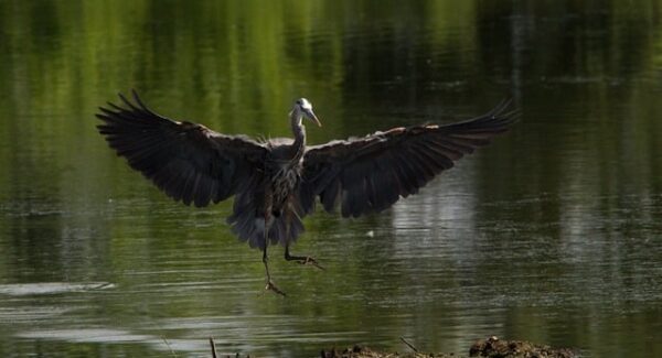 上班族副业新选择：25个副业让你收入翻倍