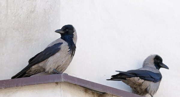 猎富团独家揭秘：如何加入暴利网赚群，与成功者共享财富增长之路