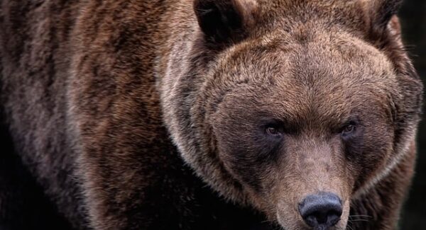 【创业网大全】深度解析怎么网上创业，揭秘热门创业项目！