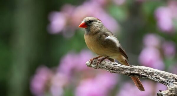 微信兼职新趋势：一单一结，赚钱平台正规可靠