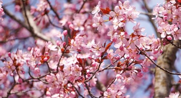 【网赚秘籍】赚钱的网赚项目大揭秘，说钱网带你走向成功！