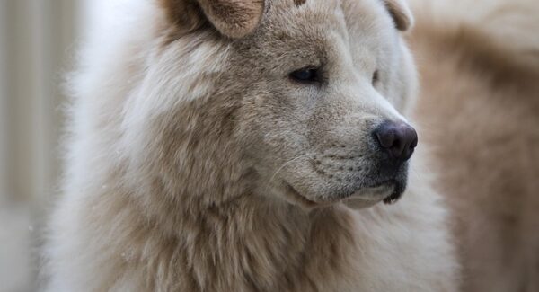 【学习网赚技巧】网赚学习技巧全攻略，让你轻松成为网赚高手！