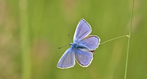 国家认可的赚钱软件大盘点：正规兼职平台TOP10