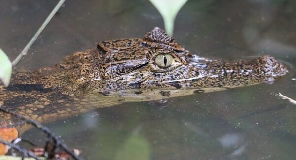 选择帮站SEO服务，让你的网站效果翻倍！