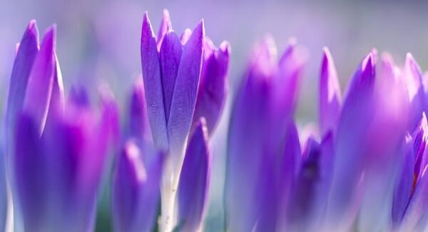 无本钱赚大钱：一个月内实现5万收入的秘密