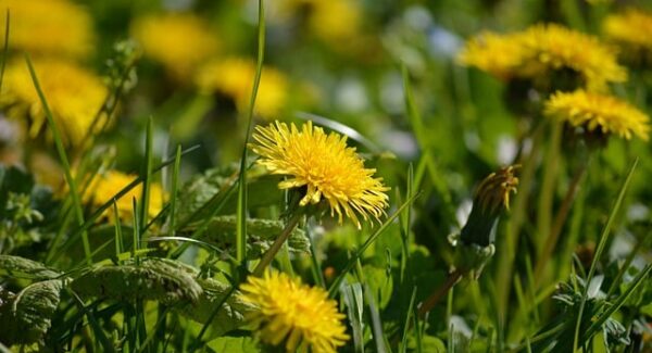 【网赚论坛交流】网上赚钱论坛热议，分享网络兼职挣钱心得！