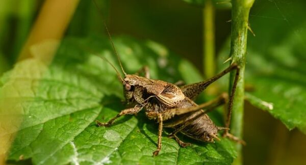 打字赚钱新平台推荐：一单一结，适合学生快速赚钱