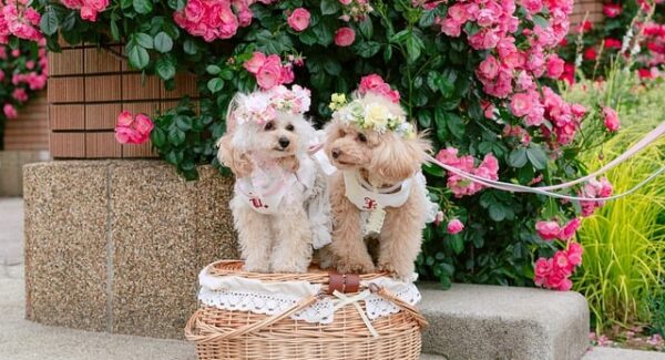 手机赚钱新机遇：正规平台，让你轻松日入400元