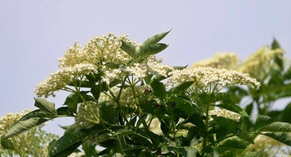 深度解析网赚团购模式：揭秘最新网赚项目与致富金点子