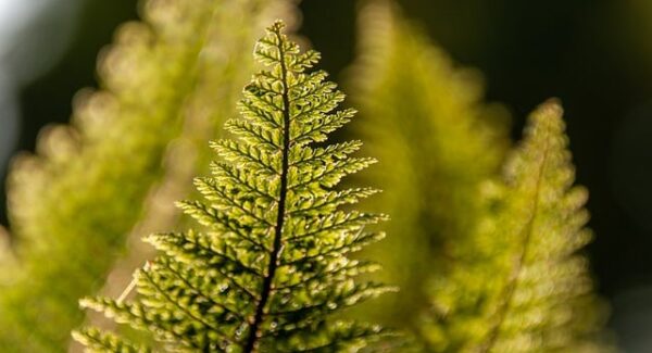 暮沉资源站独家推荐：赚钱项目网站精选，从网创项目资源网站到实际盈利，一步到位实现梦想