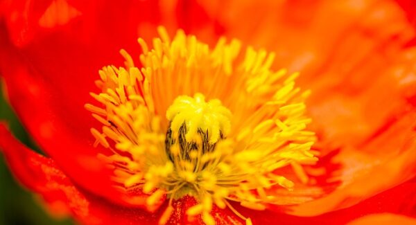 创业网址大全详解：如何快速找到你需要的网络资源，助力你的创业之路