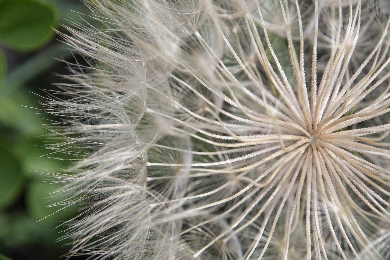 网络创业网攻略：免费赚钱项目资源站大揭秘，助你实现财务自由