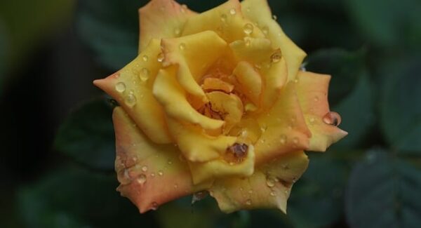 【热门项目精选】热门创业项目精选，让你轻松找到适合自己的项目！