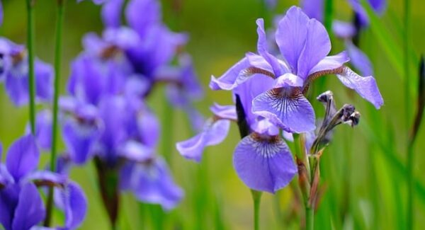 【SEO赚钱】SEO赚钱培训揭秘：如何通过SEO文案赚钱？