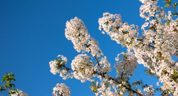 国家认证的赚钱软件推荐：你的网上兼职赚钱正规平台